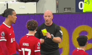 1696115698714060815.gif 开云官网-【英超】孙兴慜破门,裁判重大误判,9人利物浦负热刺