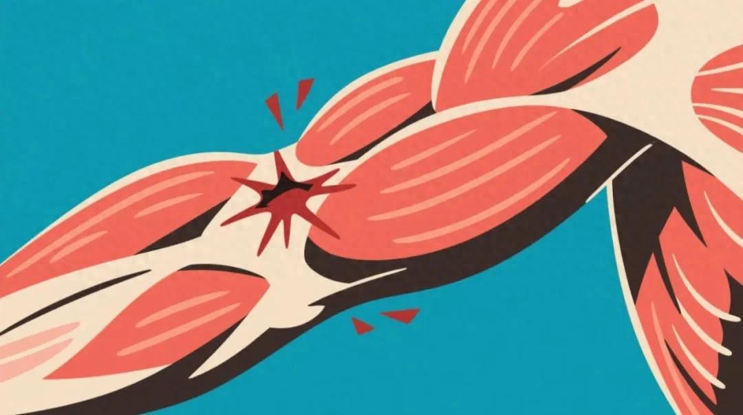 开云体育下载-警惕！小心这些药正在“溶解”你的肌肉